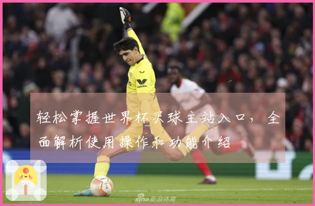 轻松掌握世界杯买球主站入口，全面解析使用操作和功能介绍