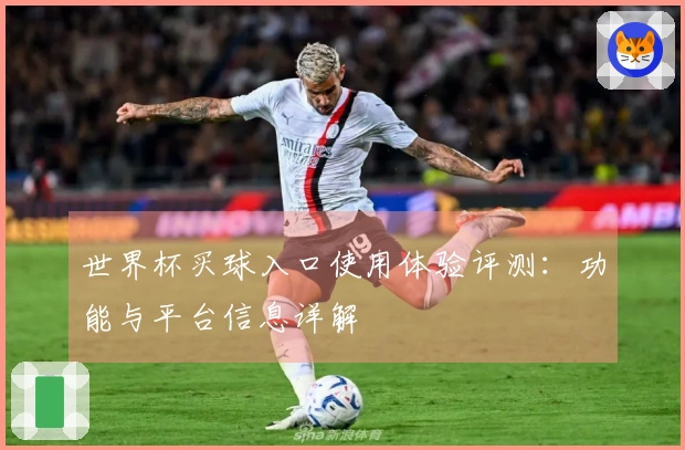 世界杯买球入口使用体验评测：功能与平台信息详解