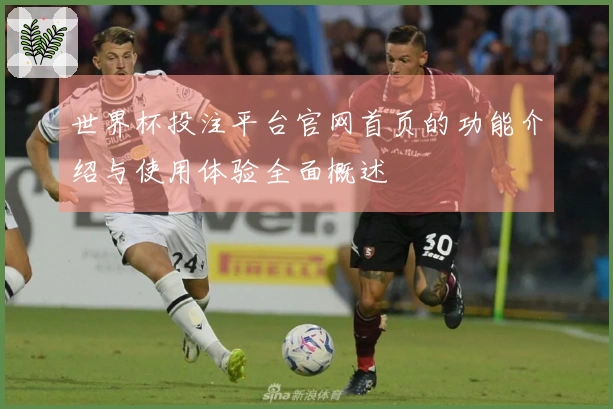 世界杯投注平台官网首页的功能介绍与使用体验全面概述