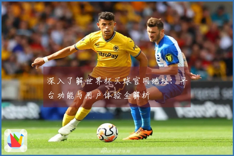 深入了解世界杯买球官网地址：平台功能与用户体验全解析