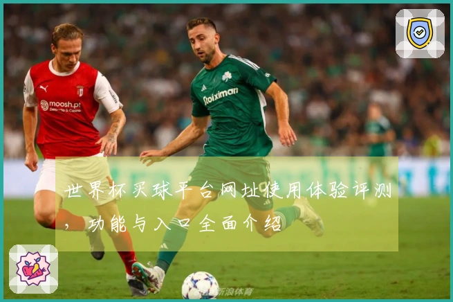 世界杯买球平台网址使用体验评测，功能与入口全面介绍