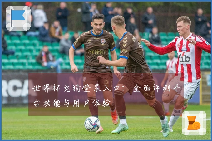 世界杯竞猜登录入口：全面评测平台功能与用户体验