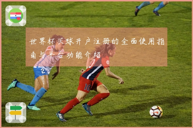 世界杯买球开户注册的全面使用指南与平台功能介绍