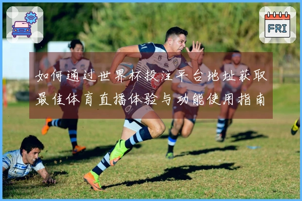 如何通过世界杯投注平台地址获取最佳体育直播体验与功能使用指南