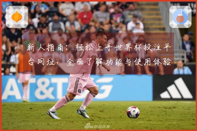 新人指南：轻松上手世界杯投注平台网址，全面了解功能与使用体验
