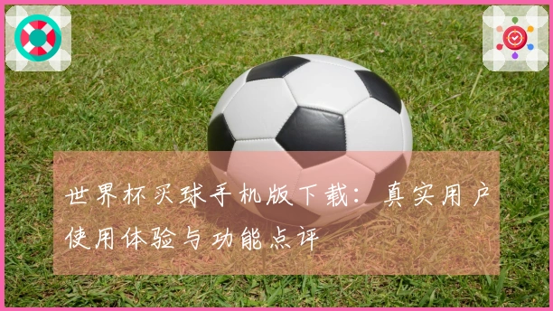 世界杯买球手机版下载：真实用户使用体验与功能点评