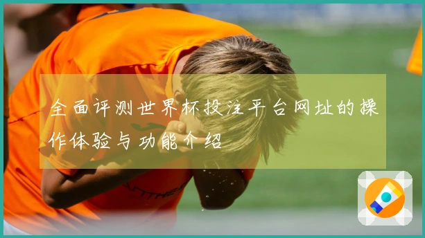 全面评测世界杯投注平台网址的操作体验与功能介绍