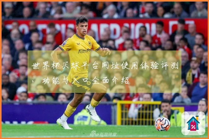 世界杯买球平台网址使用体验评测，功能与入口全面介绍