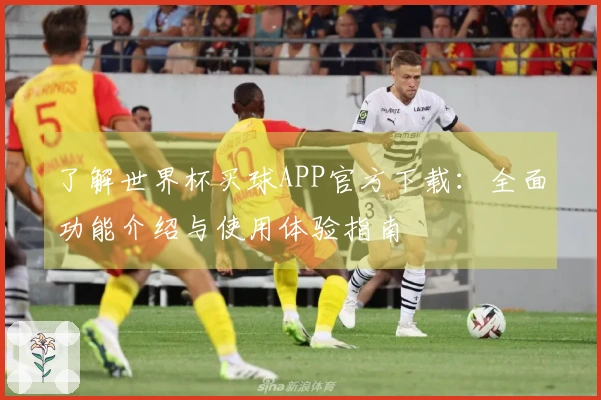 了解世界杯买球APP官方下载：全面功能介绍与使用体验指南